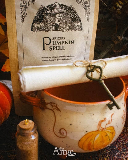 Set de regalo de bolas de calabaza: taza o caldero + té de calabaza con especias 🎃🍵