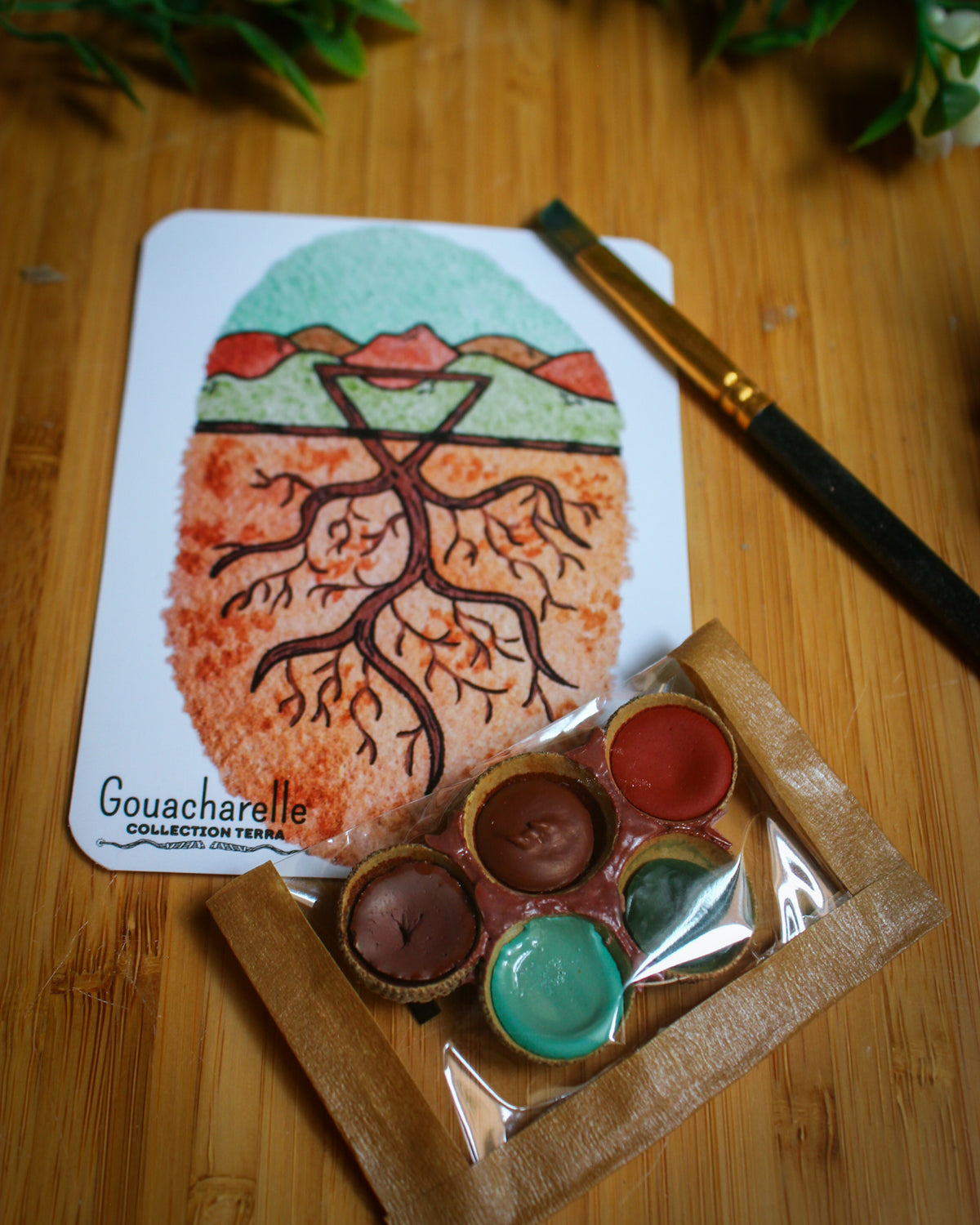 Coffret Gouacharelle X Atelier Amæ